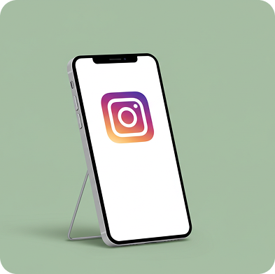Instagram Reel Downloader Interface
